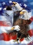 10 Eagles Flag Korean Style Mink Blanket