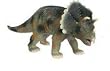 Soft Triceratops