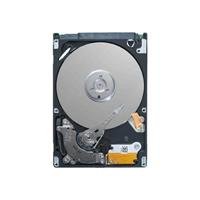 review Seagate