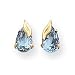 Sardelli - 14k Gold Blue Topaz with Leaf Earrings