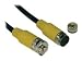 Tripp Lite EZB-050 Easy Pull Type-B Digital PVC Trunk Cable - 50ft