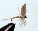 Red Quill Size: 12