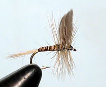 Red Quill Size: 14
