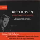 Beethoven: Spring & Kreutzer Sonatas