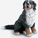Schleich Bernese Mountain Dog 16316_s-1
