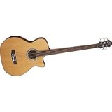 Acoustic Bass Guitars