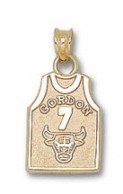 Chicago Bulls 5/8