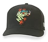 Everett Aquasox Road Cap by New Era