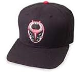 Birmingham Bulls East Coast Hockey League Cap