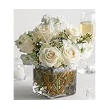 Same Day Flower Delivery Mini Rose Cube