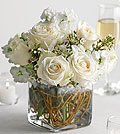 Same Day Flower Delivery Mini Rose Cube