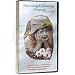 Hand-Tinting & Retouching Photographs with SpotPen Products