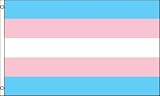 NEOPlex 3' x 5' Novelty Flag - Transgender Pride Pink/Blue