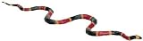 Incredible Creatures - Coral Snake