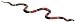 Safari 257429 Coral Snake Animal Figure - Sold As Single Piece
