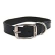 Hamilton 3/4" x 20" Creased Black Leather Dog Collar