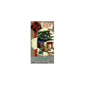 Bear Who Slept Through Christmas [VHS]
