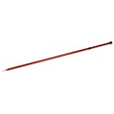 10-ft. Flexible Pole
