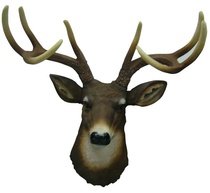 8 Point Buck Deer Head Bust Wall Hanging