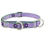 Lupine Medium Martingale Style Dog Collar - Jelly Roll 19-27"