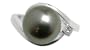Size 7 18K white gold Wish Black Tahitian cultured pearl and diamond ring