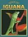 Caring for Your Iguana (Caring for Your Pet)