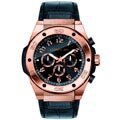 Cerruti Herren-Armbanduhr Analog Quarz CRA040C222H Preisvergleich