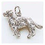 rembrandt retreiver charm