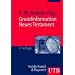Grundinformation Neues Testament. Eine bibelkundlich-theologische Einf�hrung