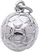 Jewelry : Soccer Ball Charm by Rembrandt Charms