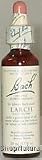 Flower Essence, Larch, 20 ml.