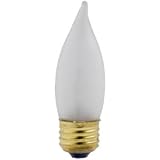 WP 2PK 25W CA8 BT Bulb