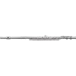 Roy Benson RBFL-602RE Intermediate Flute