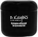 B. Kamins, Chemist Bio-Maple diatomamus earth masque, dry to normal skin 4.6 oz (130 g)
