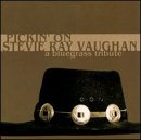 Pickin` on Stevie Ray Vaughan: a Bluegrass Tribute