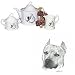 American Staffordshire Terrier Tea Set, Porcelain by Rosalinde