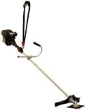 Briggs & Stratton Fource 4-cycle 34cc Straight Shaft Brush Cutter and String Trimmer