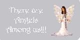 AIRBRUSHED LICENSE PLATES - ANGEL - #1608