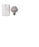 212Rd9j8u3L. SL160  Where can I buy ceiling lights that plug into the wall?