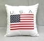 18X18 USA Pride United States of America Toss Pillow