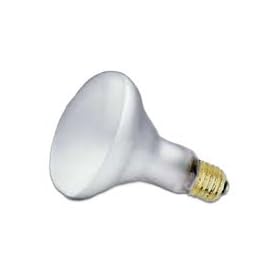 SLI LIGHTING , INC. Indoor Floodlight Bulb, 75 Watts by SLI Lighting