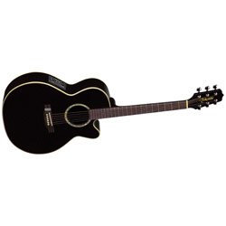 Childrens Toyshop  Musical Instruments : Takamine EG541SSC Acoustic Electric Guitar