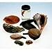 Mollusc Collection