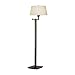 Robert Abbey Wonton Collection Bronze Swing Arm Floor Lamp