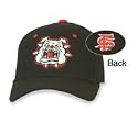 Fresno State Bulldogs Fitted Zephyr College Cap