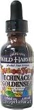 Children's Formula Echinacea Goldenseal Extract, Alcohol-Free, Orange Flavor, 1 oz.