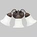 Bath & Vanity- Three Light- Cobblestone