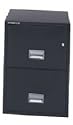 Schwab 2CF2C-5000 2 Drawer Legal Fire/Impact Resistant Vertical File