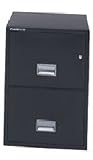 Schwab 2CF2C-5000 2 Drawer Legal - Fire And Impact Resistant
