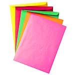 Wausau(R) Astrobrights(R) Bright Color Catalog Envelopes, 9" x 12in., Assortment #1 Pack Of 25